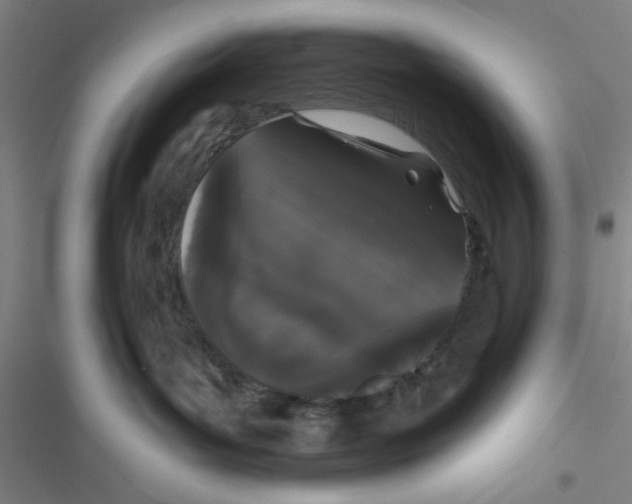 X0000116770143201001141458