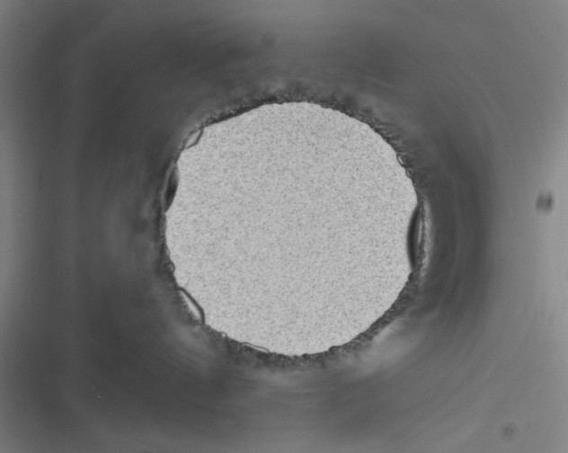 X0000116770144201001141458
