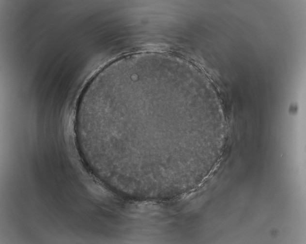 X0000116770146201001141458