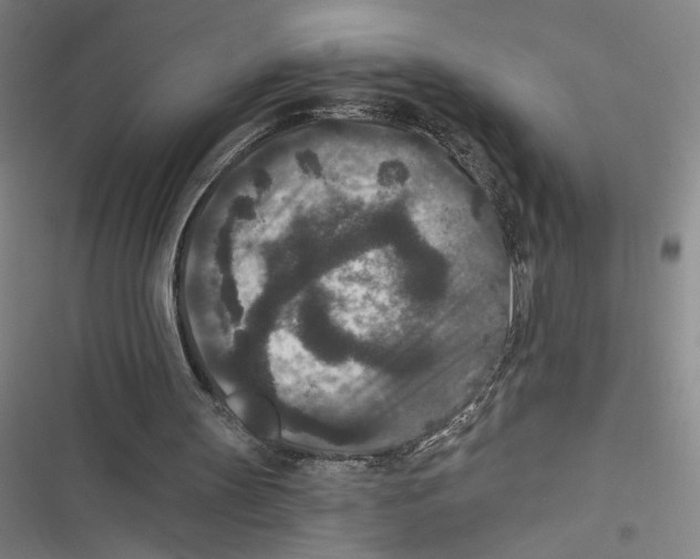X0000116770147201001141458