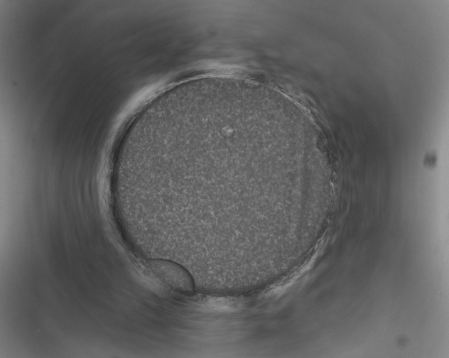 X0000116770149201001141458