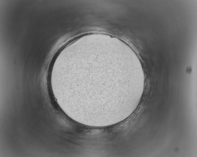 X0000116770151201001141458