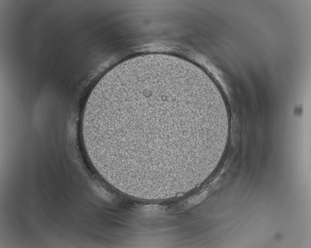 X0000116770153201001141458