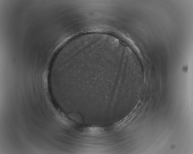 X0000116770154201001141458