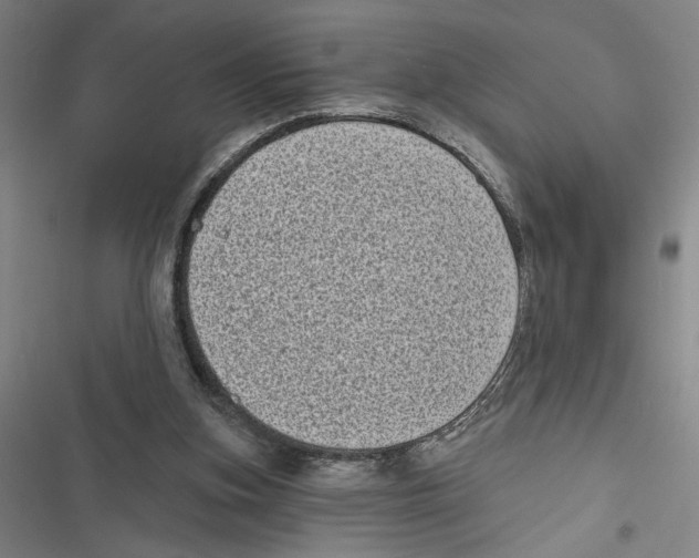 X0000116770155201001141458
