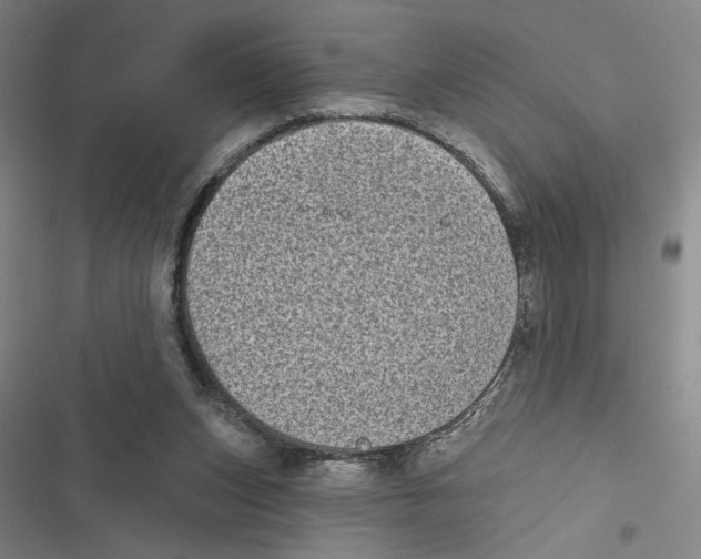 X0000116770159201001141458
