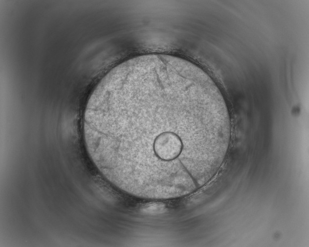 X0000116770162201001141458