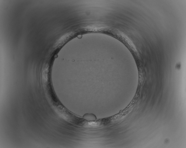 X0000116770163201001141458