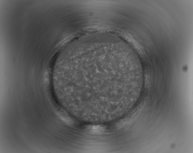 X0000116770165201001141458