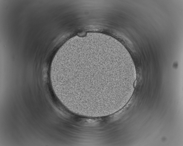 X0000116770166201001141458
