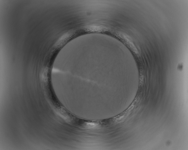 X0000116770167201001141458
