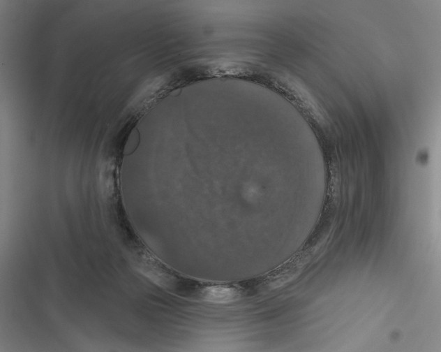 X0000116770169201001141458