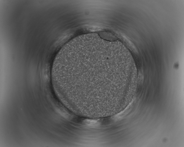 X0000116770170201001141458