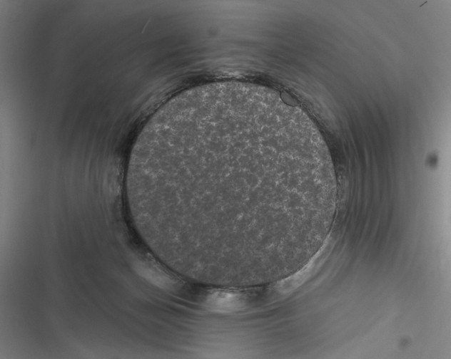 X0000116770174201001141458