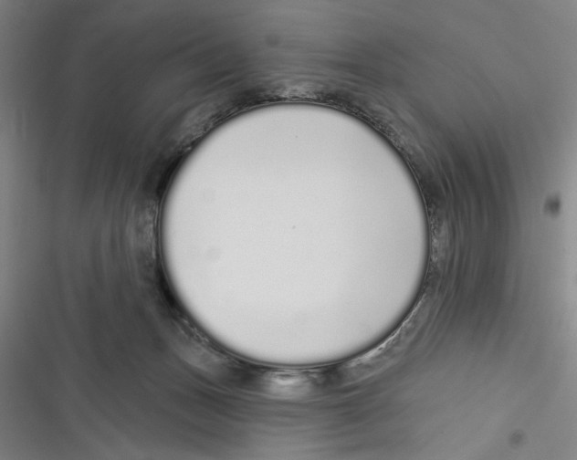 X0000116770175201001141458