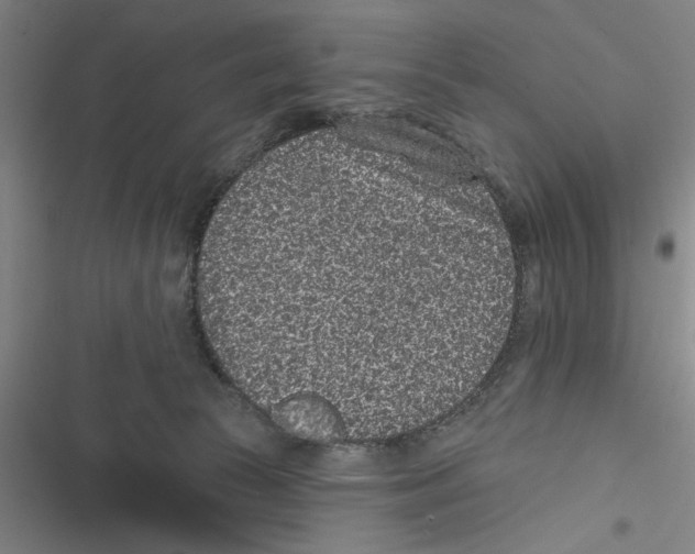 X0000116770177201001141458