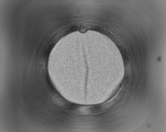 X0000116770178201001141458