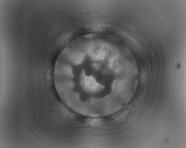 X0000116770181201001141458