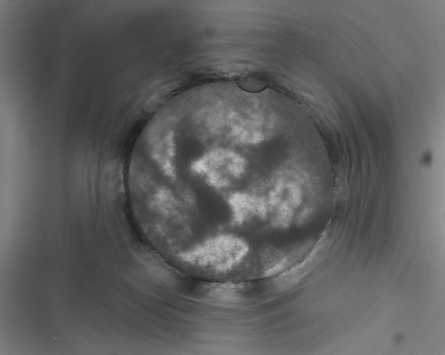 X0000116770182201001141458