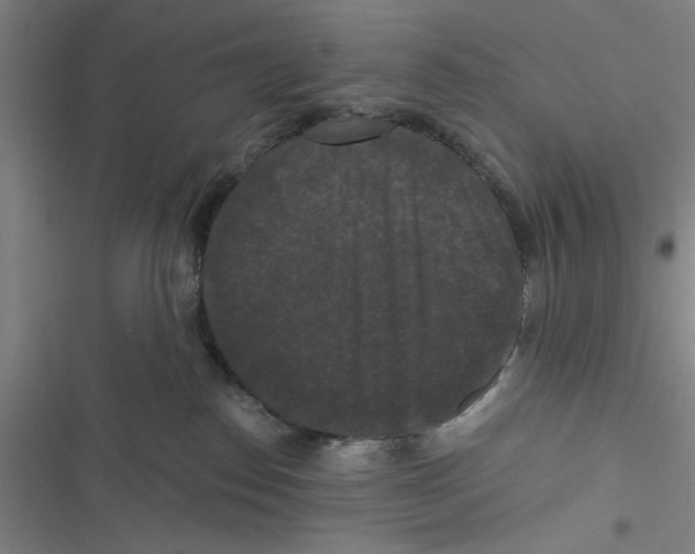 X0000116770186201001141458