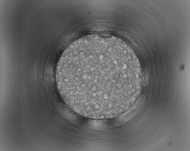 X0000116770187201001141458