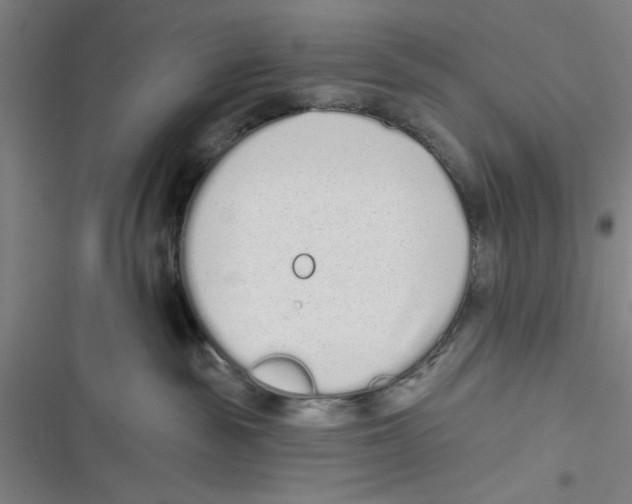 X0000116770189201001141458