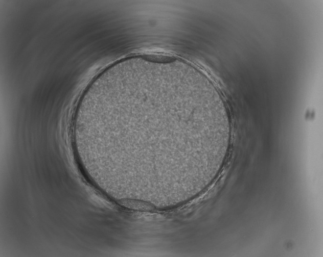 X0000116770193201001141458