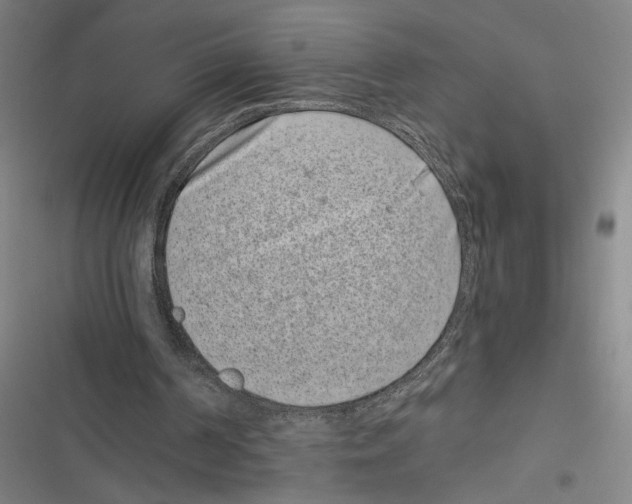 X0000116770194201001141458