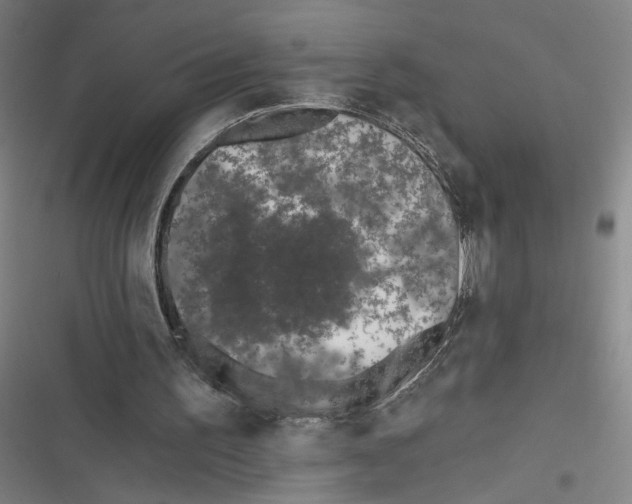 X0000116770195201001141458