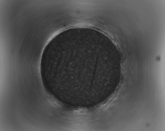 X0000116770196201001141458