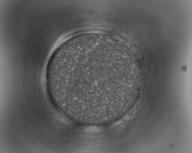 X0000116770198201001141458