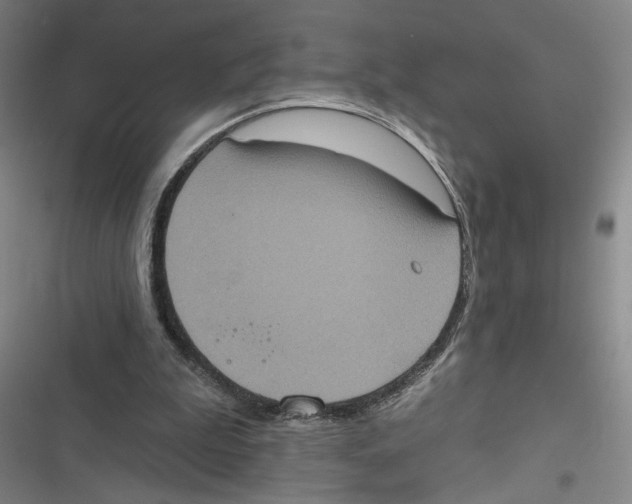 X0000116770199201001141458