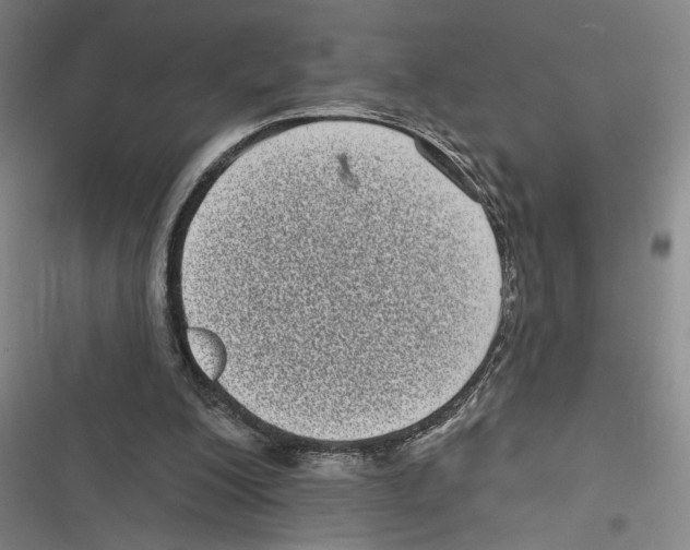 X0000116770200201001141458