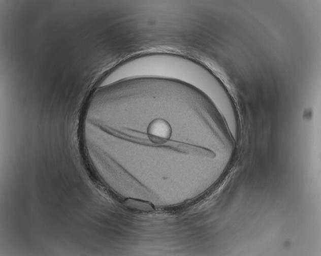 X0000116770201201001141458