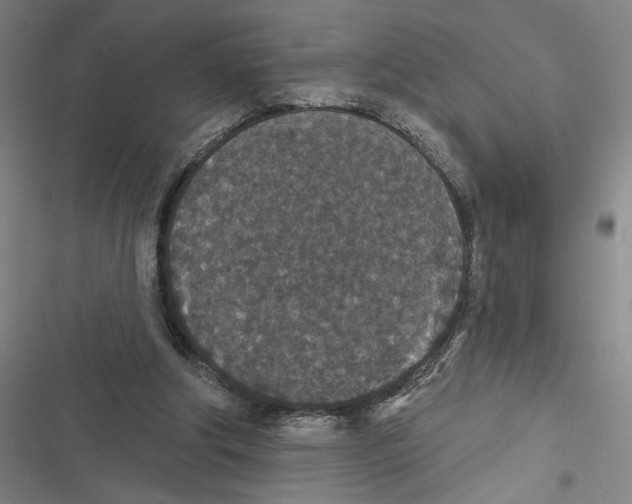 X0000116770202201001141458