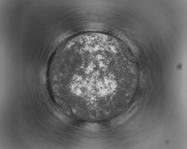 X0000116770203201001141458