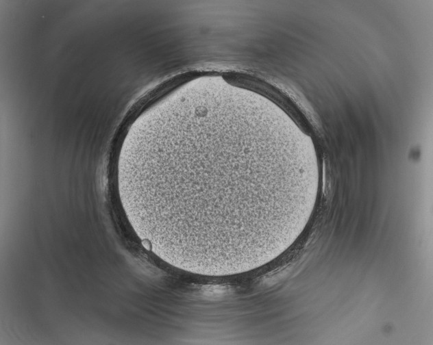 X0000116770204201001141457