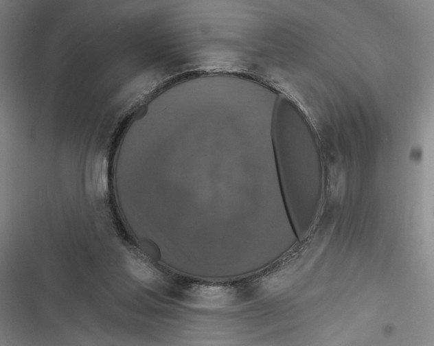 X0000116770205201001141457