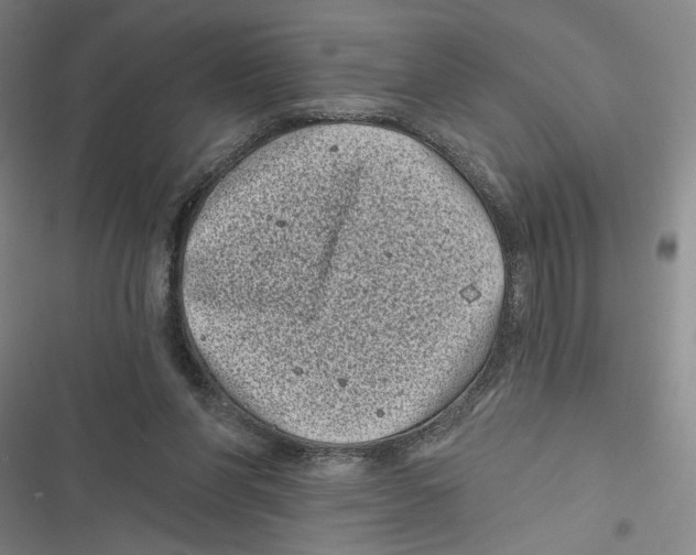 X0000116770206201001141457