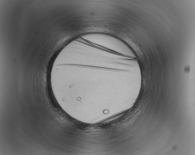 X0000116770207201001141457