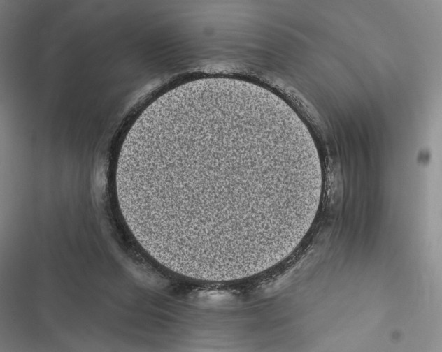 X0000116770208201001141457