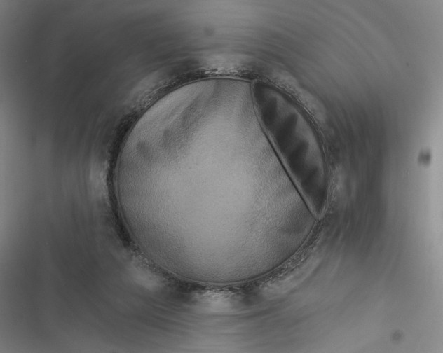 X0000116770209201001141457