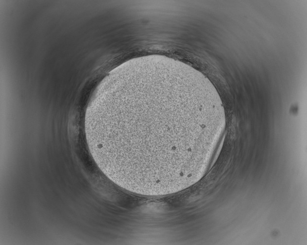 X0000116770210201001141457