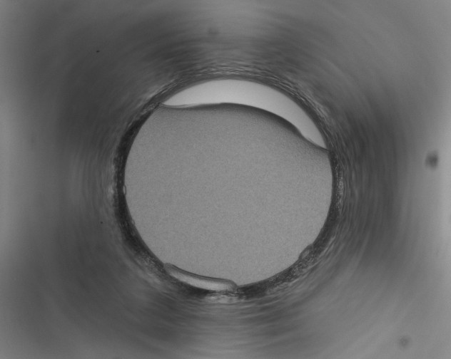 X0000116770211201001141457