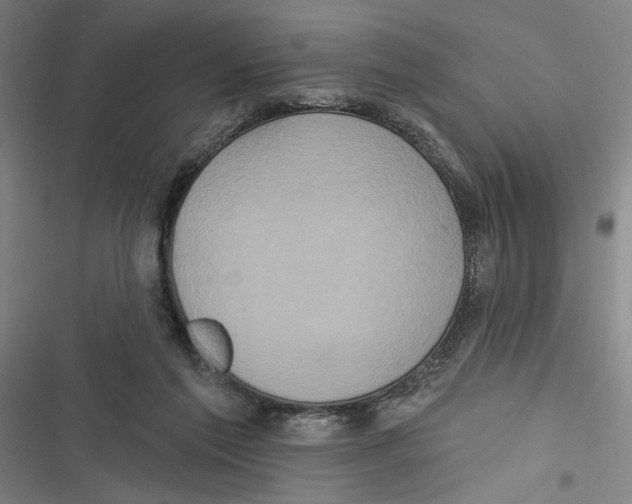 X0000116770213201001141457