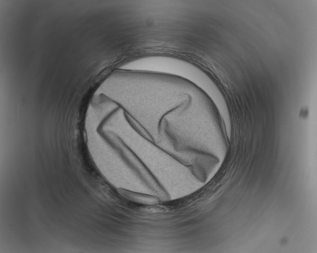 X0000116770215201001141457