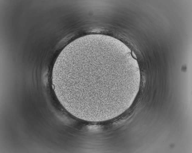 X0000116770216201001141457