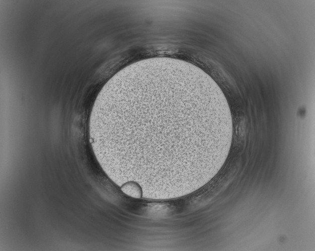 X0000116770218201001141457