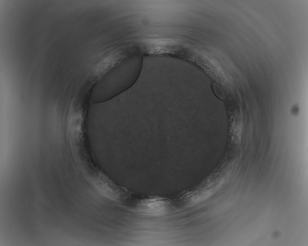 X0000116770219201001141457