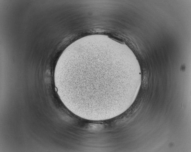 X0000116770220201001141457